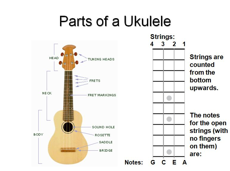 photo of ukulele with all parts labelled and additional chart showing string names and numbers