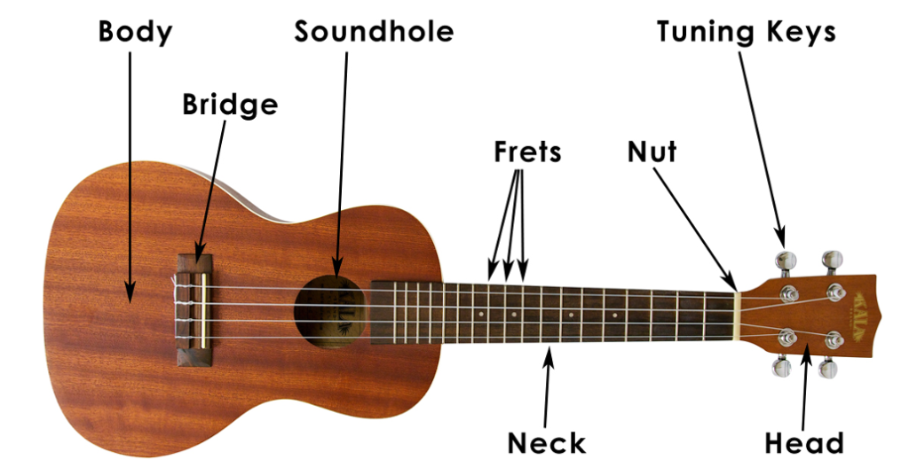 Photo of ukulele with only the most basic parts labelled.